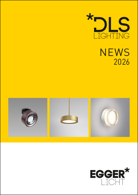 DLS News 2026 - icon